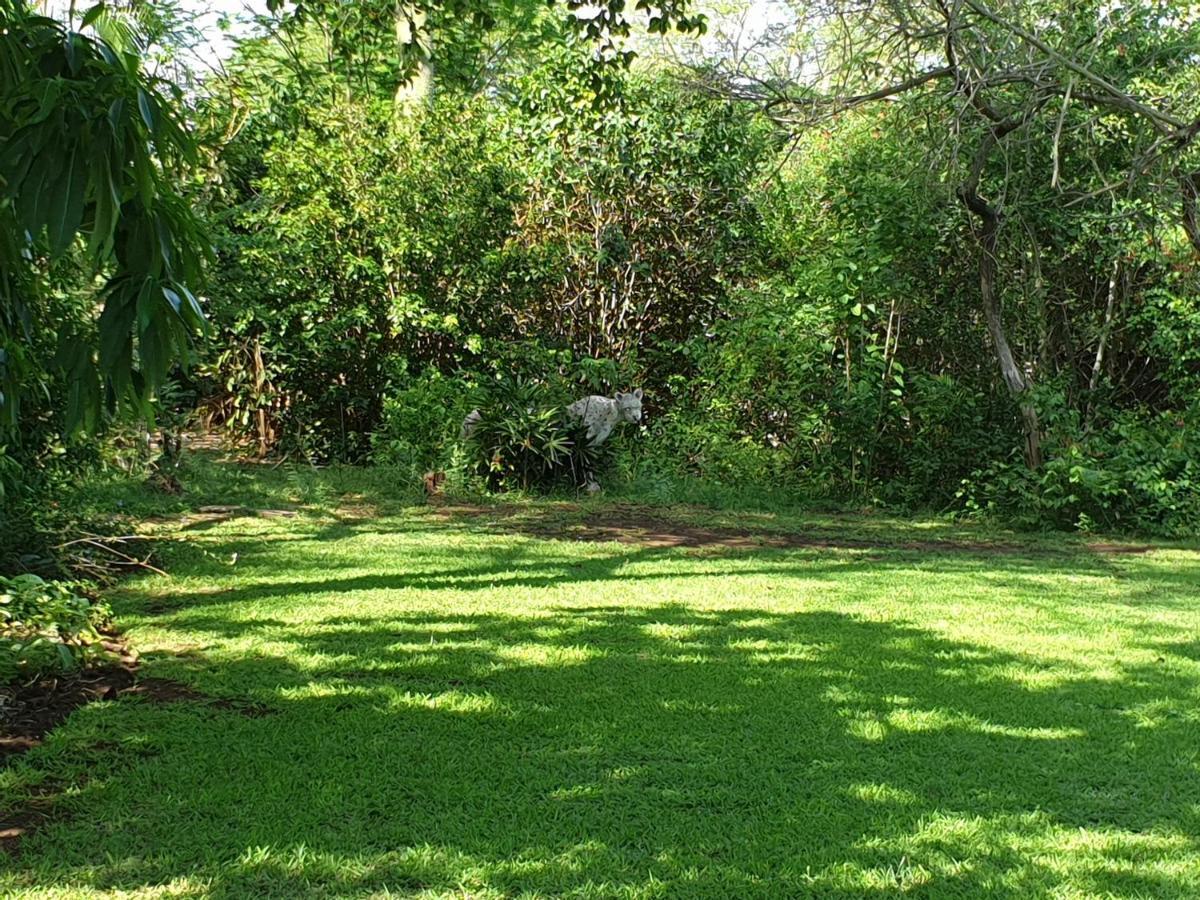 Kruger Allo B&B Komatipoort Exterior photo